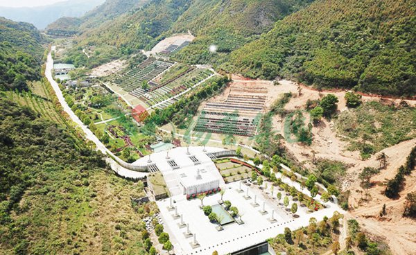 1-22020Q114213E Z6·尊龙凯时「中国区」官方网站