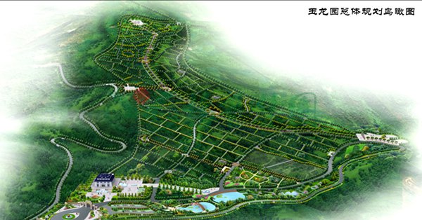 1-22020Q12122N1 Z6·尊龙凯时「中国区」官方网站