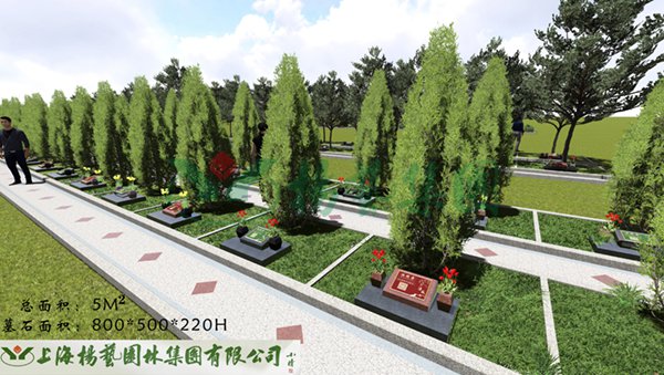1-22020Q34102648 Z6·尊龙凯时「中国区」官方网站