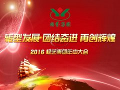 【2016年Z6尊龙凯时年中会在召开中~】全员充电培训