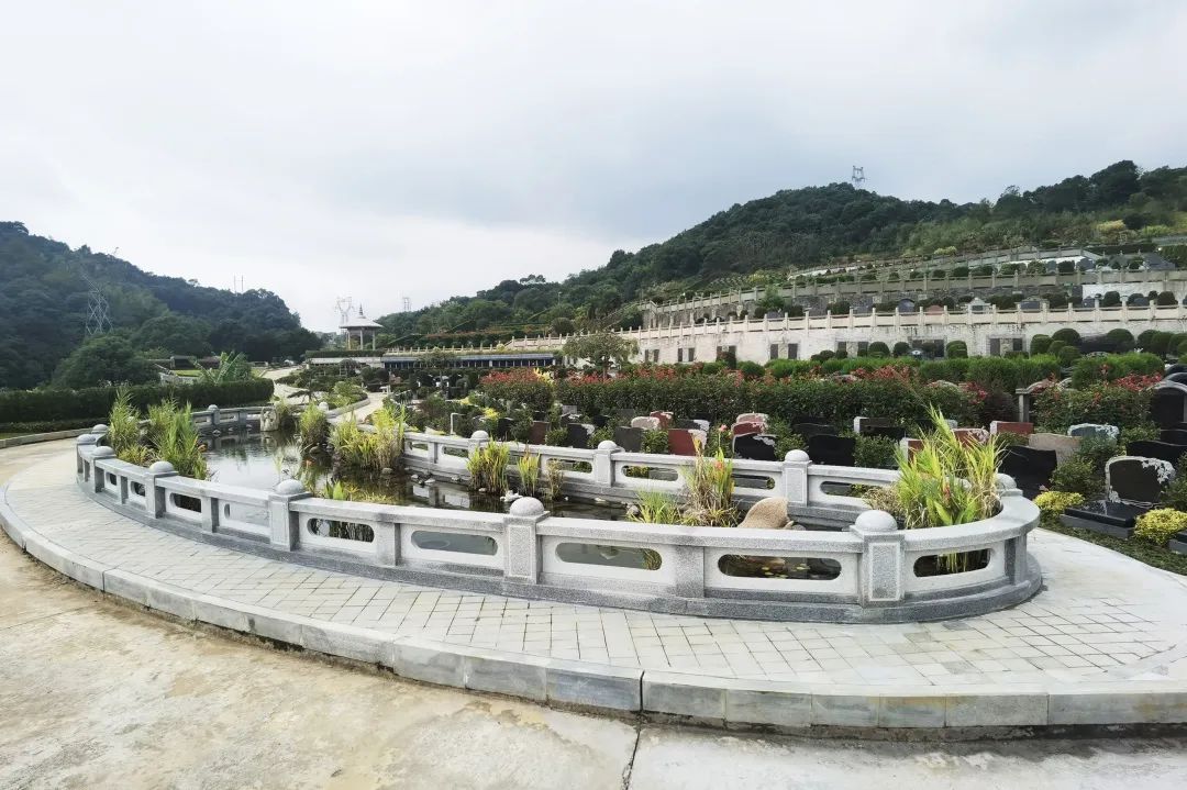 1-220P30T6262G Z6·尊龙凯时「中国区」官方网站
