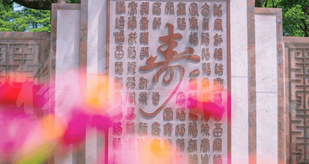Z6·尊龙凯时「中国区」官方网站