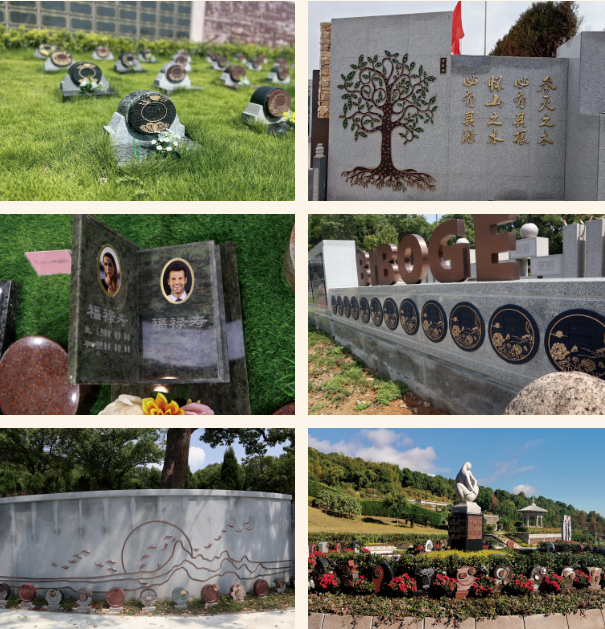 1-230926155IKT Z6·尊龙凯时「中国区」官方网站