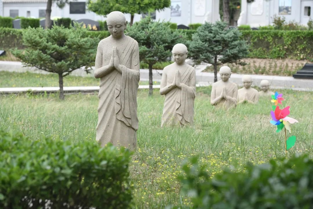 1-23112FTH31T Z6·尊龙凯时「中国区」官方网站