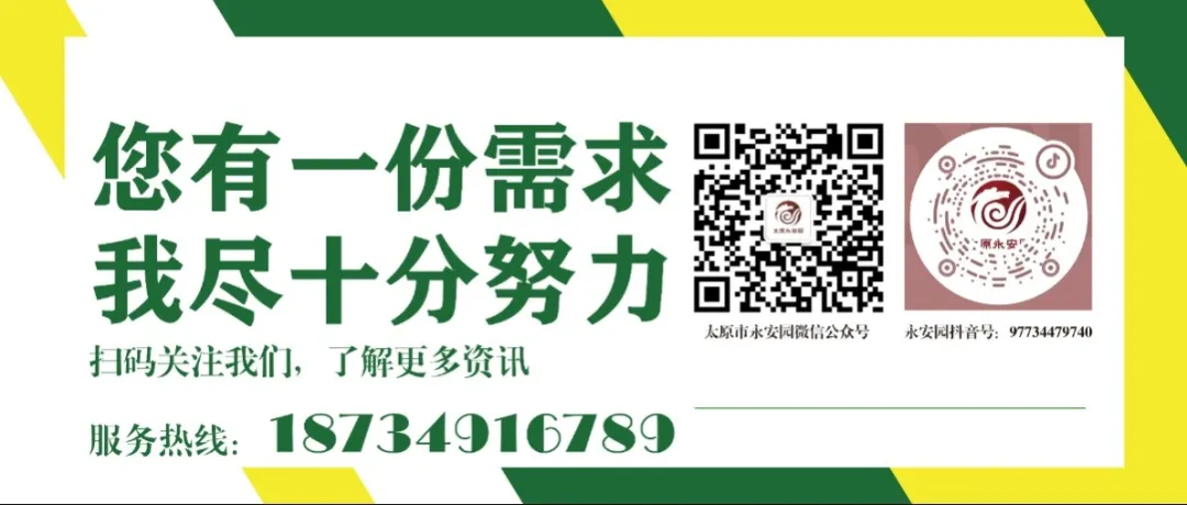 1-240615105130424 Z6·尊龙凯时「中国区」官方网站