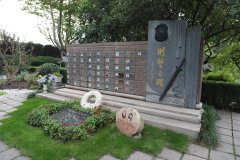 致敬“安然卫士”，铭刻“刑警之魂”